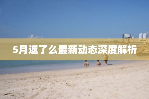 5月返了么最新動態(tài)深度解析