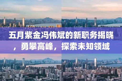 五月紫金馮偉斌的新職務(wù)揭曉，勇攀高峰，探索未知領(lǐng)域