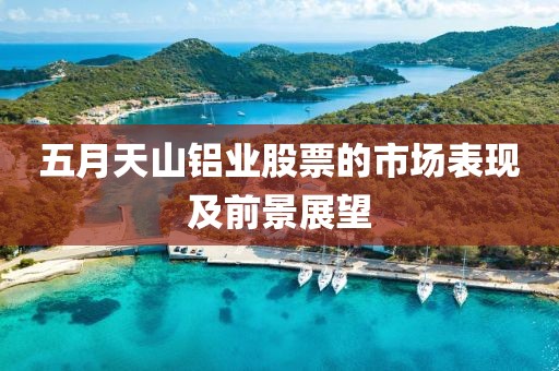 五月天山鋁業(yè)股票的市場表現(xiàn)及前景展望