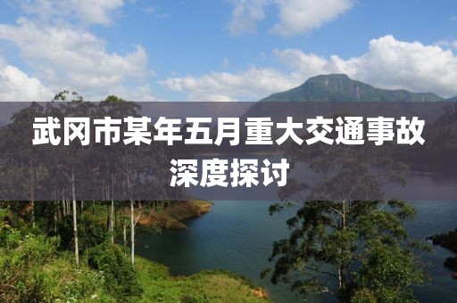 武岡市某年五月重大交通事故深度探討