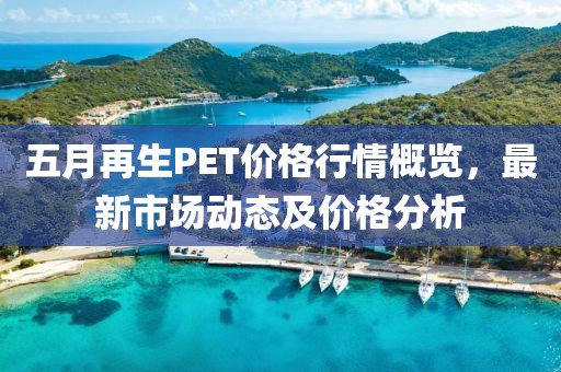五月再生PET價格行情概覽，最新市場動態(tài)及價格分析