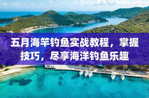 五月海竿釣魚實戰(zhàn)教程，掌握技巧，盡享海洋釣魚樂趣