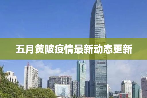 五月黃陂疫情最新動態(tài)更新