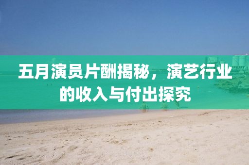 五月演員片酬揭秘，演藝行業(yè)的收入與付出探究
