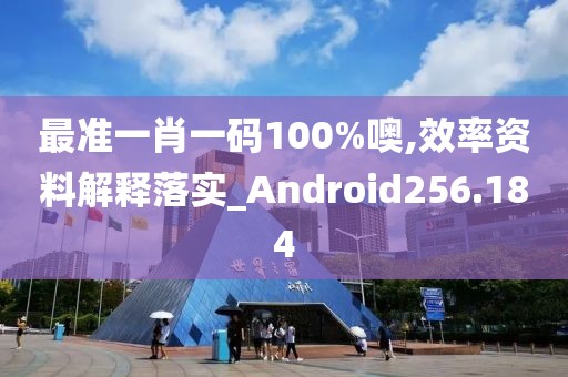 最準(zhǔn)一肖一碼100%噢,效率資料解釋落實(shí)_Android256.184