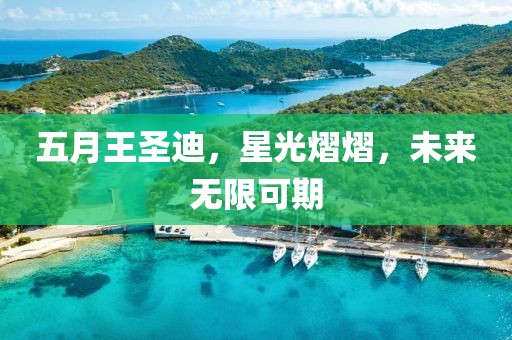 五月王圣迪，星光熠熠，未來(lái)無(wú)限可期
