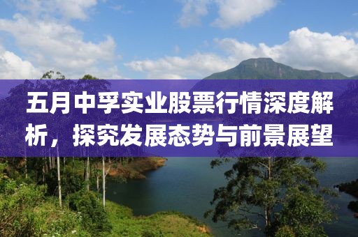 五月中孚實業(yè)股票行情深度解析，探究發(fā)展態(tài)勢與前景展望