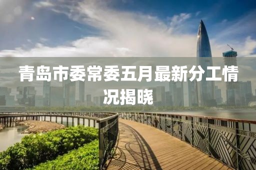 青島市委常委五月最新分工情況揭曉