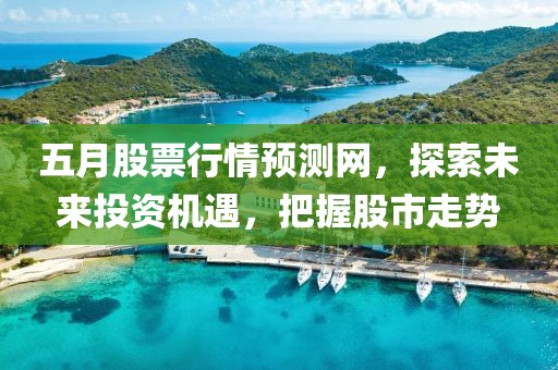 五月股票行情預(yù)測網(wǎng)，探索未來投資機遇，把握股市走勢