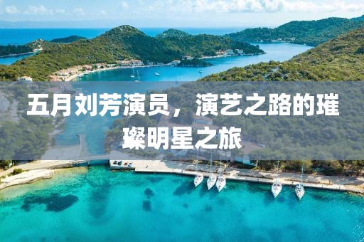五月劉芳演員，演藝之路的璀璨明星之旅