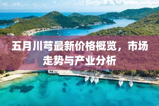 五月川芎最新價(jià)格概覽，市場走勢與產(chǎn)業(yè)分析