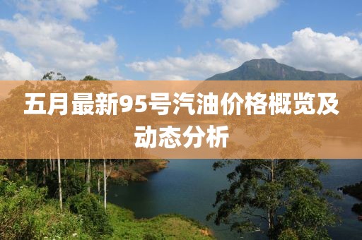五月最新95號汽油價格概覽及動態(tài)分析