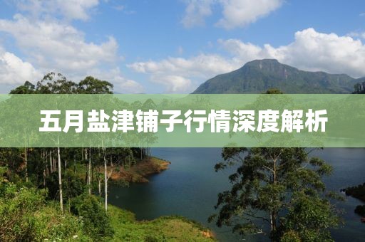 五月鹽津鋪子行情深度解析