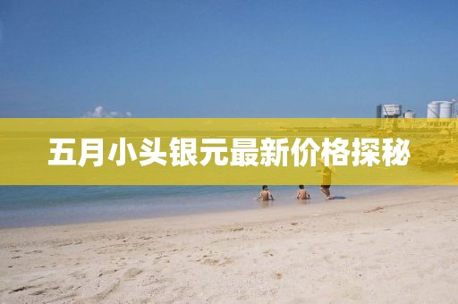 五月小頭銀元最新價格探秘