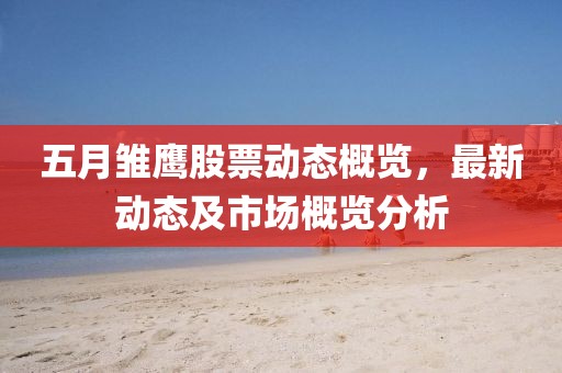 五月雛鷹股票動態(tài)概覽，最新動態(tài)及市場概覽分析