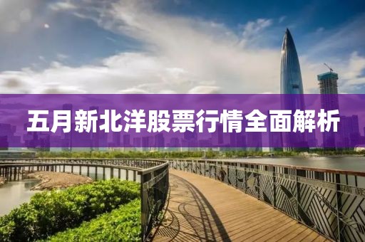 五月新北洋股票行情全面解析