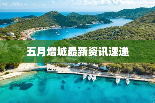 五月增城最新資訊速遞