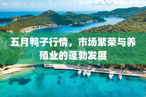 五月鴨子行情，市場(chǎng)繁榮與養(yǎng)殖業(yè)的蓬勃發(fā)展