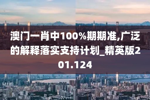 澳門一肖中100%期期準,廣泛的解釋落實支持計劃_精英版201.124