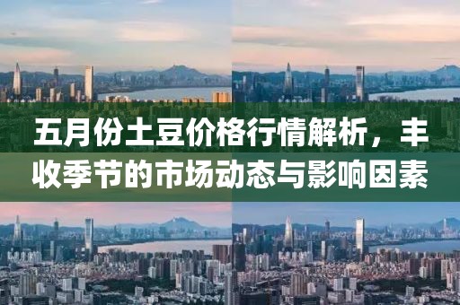 五月份土豆價(jià)格行情解析，豐收季節(jié)的市場(chǎng)動(dòng)態(tài)與影響因素
