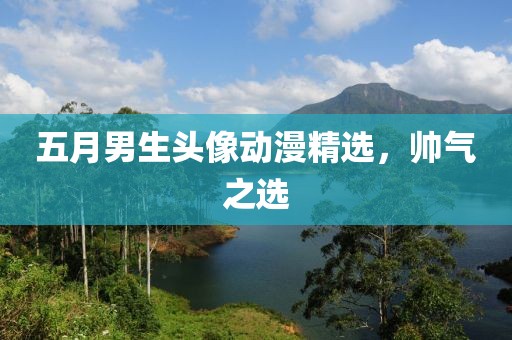 五月男生頭像動漫精選，帥氣之選