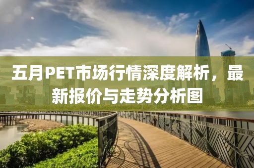 五月PET市場行情深度解析，最新報價與走勢分析圖