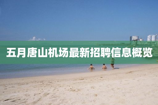 回轉(zhuǎn)馬達(dá) 第20頁