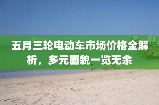 五月三輪電動車市場價格全解析，多元面貌一覽無余