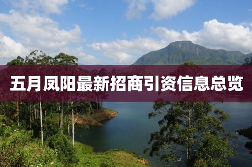 五月鳳陽最新招商引資信息總覽
