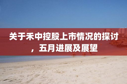 關于禾中控股上市情況的探討，五月進展及展望