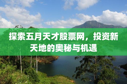 探索五月天才股票網(wǎng)，投資新天地的奧秘與機(jī)遇