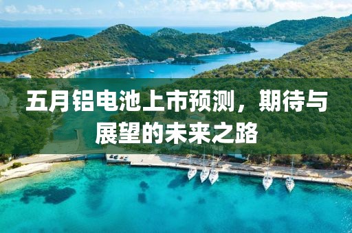 五月鋁電池上市預(yù)測，期待與展望的未來之路
