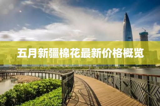 五月新疆棉花最新價(jià)格概覽