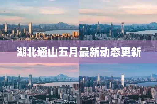 湖北通山五月最新動態(tài)更新