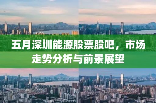 五月深圳能源股票股吧，市場(chǎng)走勢(shì)分析與前景展望