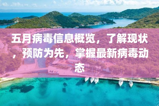 五月病毒信息概覽，了解現(xiàn)狀，預(yù)防為先，掌握最新病毒動(dòng)態(tài)