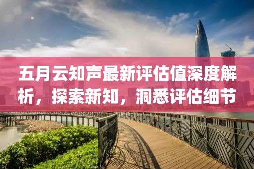 五月云知聲最新評估值深度解析，探索新知，洞悉評估細節(jié)