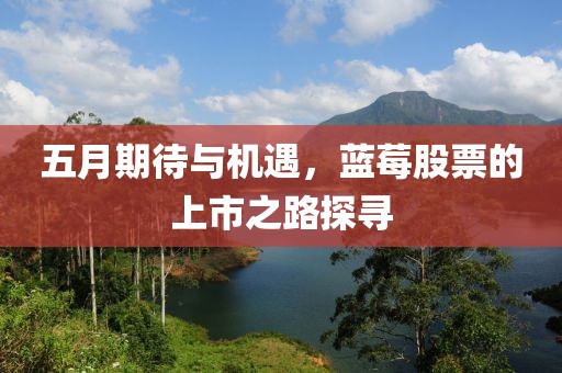 五月期待與機遇，藍莓股票的上市之路探尋