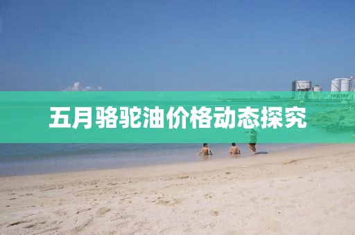 五月駱駝油價格動態(tài)探究