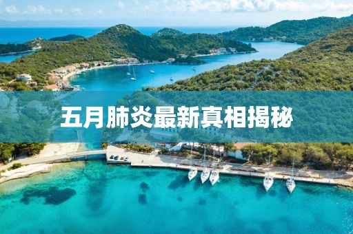 五月肺炎最新真相揭秘