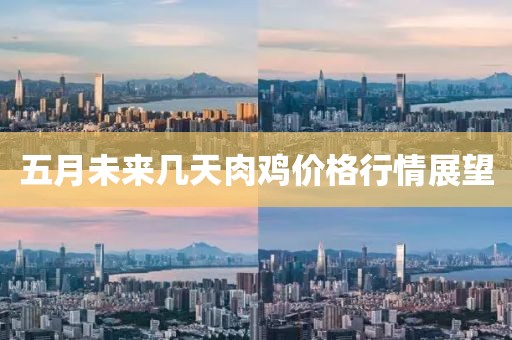 五月未來幾天肉雞價格行情展望
