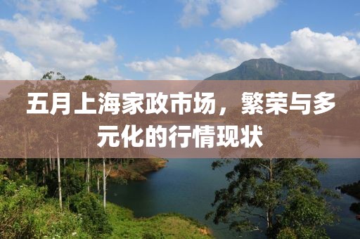 五月上海家政市場，繁榮與多元化的行情現(xiàn)狀
