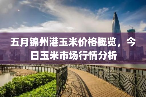 五月錦州港玉米價格概覽，今日玉米市場行情分析