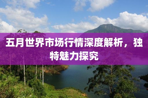 五月世界市場行情深度解析，獨(dú)特魅力探究
