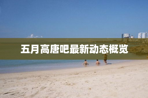 五月高唐吧最新動態(tài)概覽