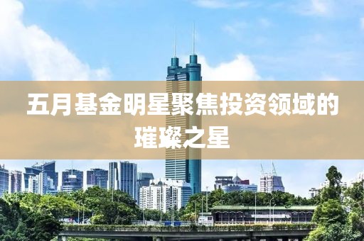 五月基金明星聚焦投資領(lǐng)域的璀璨之星
