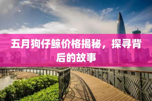 五月狗仔鯨價(jià)格揭秘，探尋背后的故事