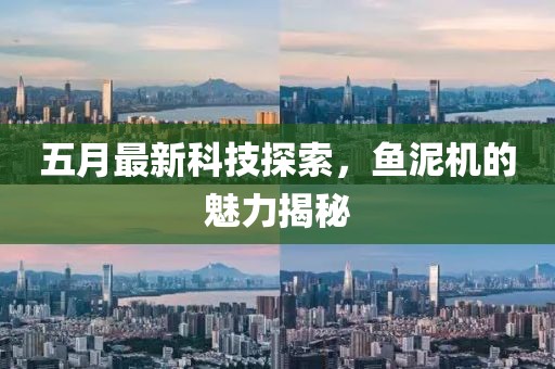 五月最新科技探索，魚泥機的魅力揭秘