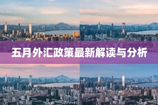 五月外匯政策最新解讀與分析