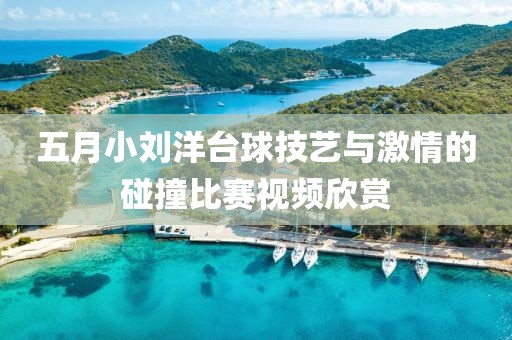 五月小劉洋臺(tái)球技藝與激情的碰撞比賽視頻欣賞